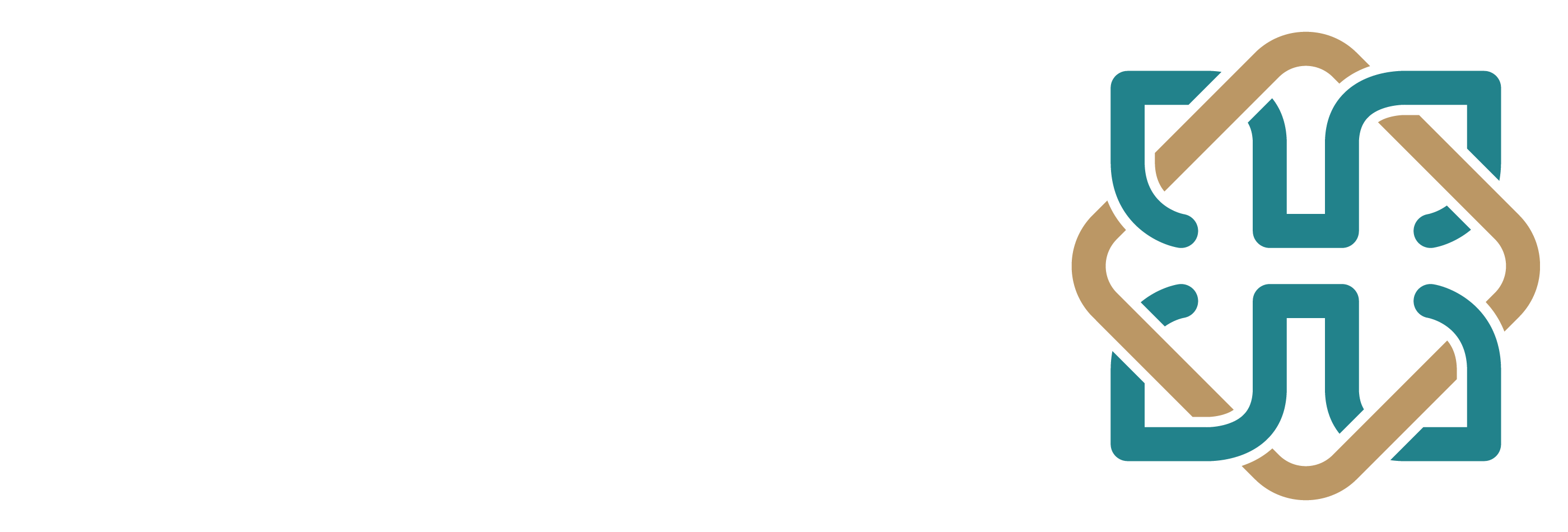 Hamdan new logo white
